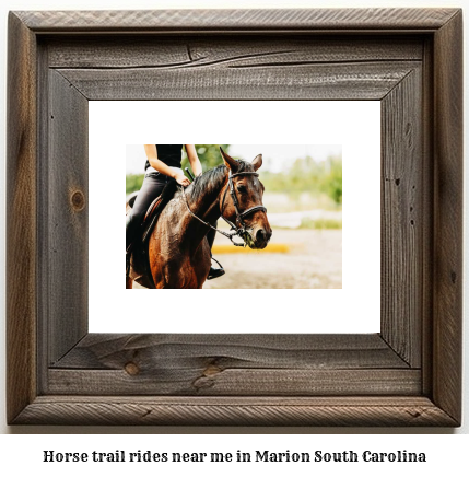 horse trail rides near me in Marion, South Carolina